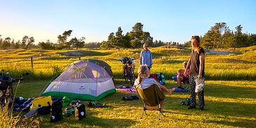 Teltpladser i smuk Natur med udsigt til Naturreservat Røgegård - Oplev Krondyr tæt på - Gratis plads i vores Lavsæson - Jammerbugt Camping