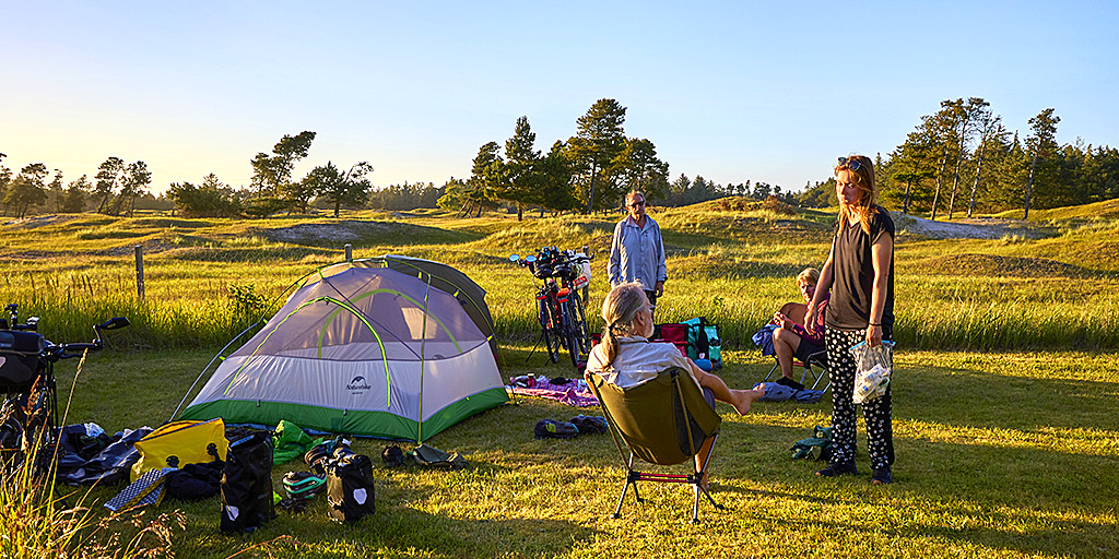 Teltpladser i smuk Natur med udsigt til Naturreservat Røgegård - Oplev Krondyr tæt på - Gratis plads i vores Lavsæson - Jammerbugt Camping