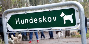 Hundeskov - Jammerbugt Camping